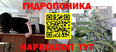 каннабис Коммунар