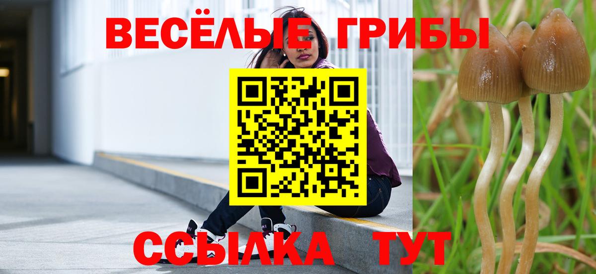 ЭКСТАЗИ Коломна