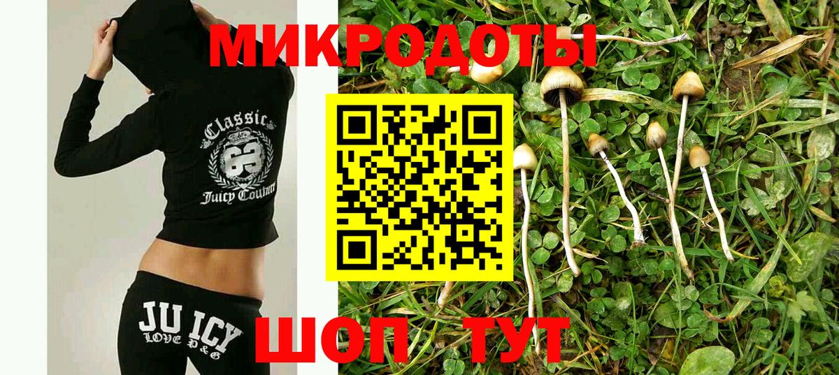 Галлюциногенные грибы мицелий  Вход с VPN  Коломна 
